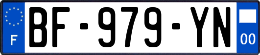 BF-979-YN
