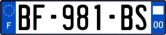 BF-981-BS