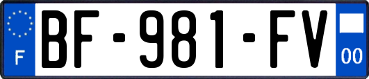 BF-981-FV