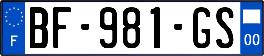 BF-981-GS
