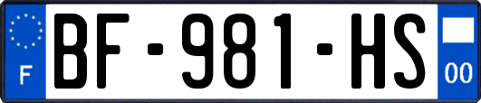 BF-981-HS