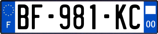 BF-981-KC