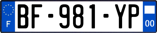BF-981-YP