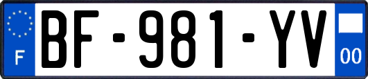 BF-981-YV