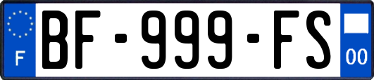 BF-999-FS