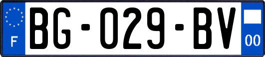BG-029-BV