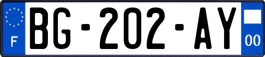 BG-202-AY