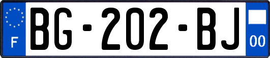 BG-202-BJ