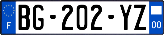 BG-202-YZ