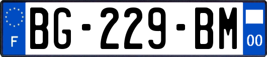 BG-229-BM