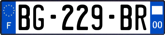 BG-229-BR