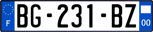 BG-231-BZ