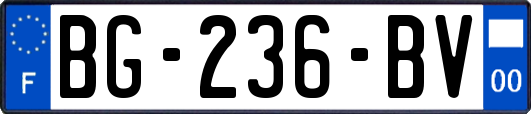 BG-236-BV