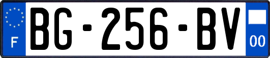 BG-256-BV
