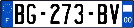 BG-273-BV