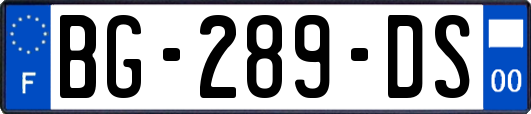 BG-289-DS