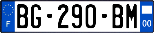 BG-290-BM