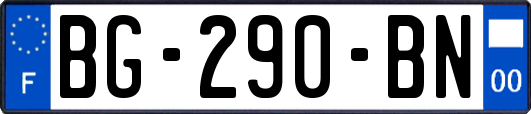 BG-290-BN