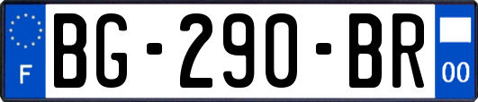 BG-290-BR