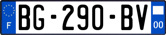 BG-290-BV