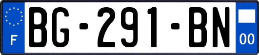 BG-291-BN