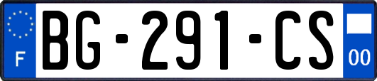 BG-291-CS