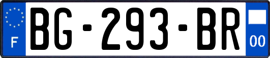 BG-293-BR