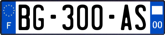BG-300-AS