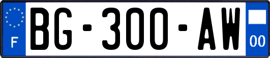 BG-300-AW