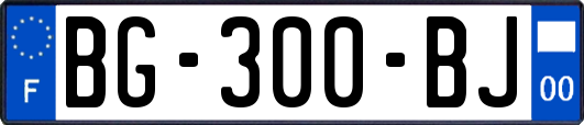 BG-300-BJ