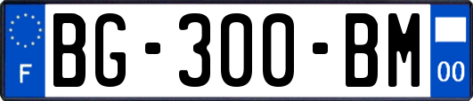 BG-300-BM