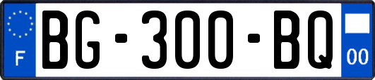 BG-300-BQ