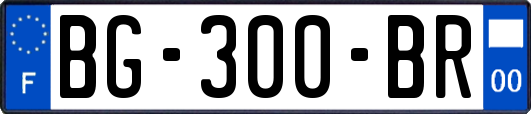 BG-300-BR