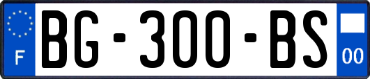 BG-300-BS