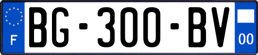 BG-300-BV