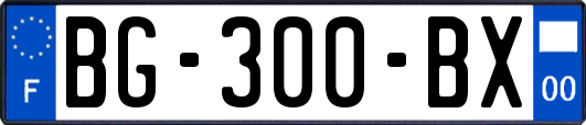 BG-300-BX