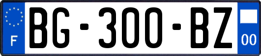 BG-300-BZ