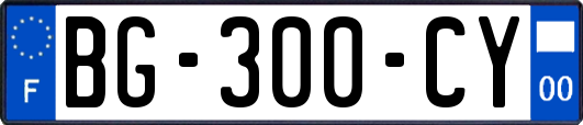 BG-300-CY