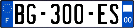 BG-300-ES