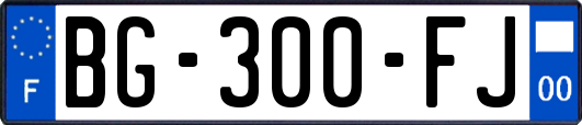 BG-300-FJ