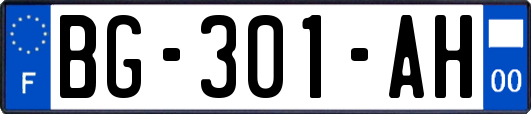 BG-301-AH