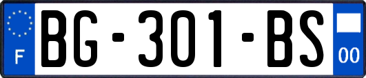 BG-301-BS