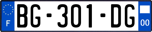 BG-301-DG