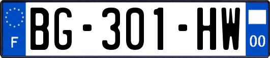 BG-301-HW