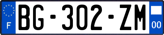 BG-302-ZM