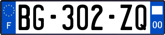 BG-302-ZQ