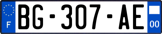 BG-307-AE