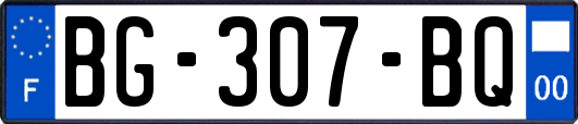 BG-307-BQ