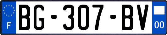 BG-307-BV