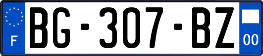 BG-307-BZ